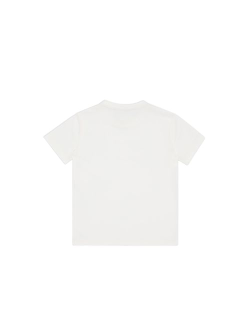  EMPORIO ARMANI | EB000421 AF15013M0135